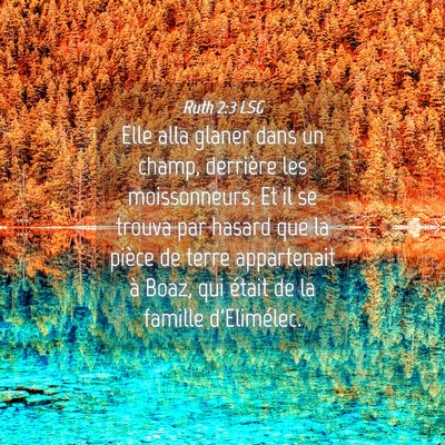 Picture 04 - Ruth 2:3 LSG - Elle alla glaner dans un champ, derrière les - Bible Verse Picture
