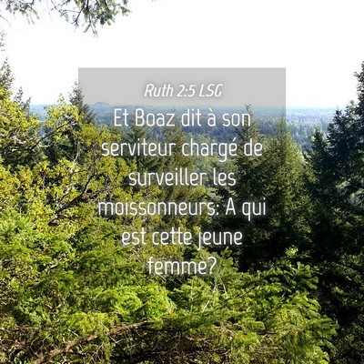 Picture 04 - Ruth 2:5 LSG - Et Boaz dit à son serviteur chargé de - Bible Verse Picture