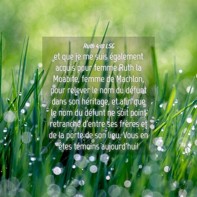 Picture 04 - Ruth 4:10 LSG - et que je me suis également acquis pour femme - Bible Verse Picture