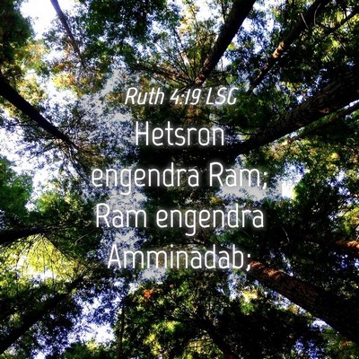 Picture 04 - Ruth 4:19 LSG - Hetsron engendra Ram; Ram engendra - Bible Verse Picture