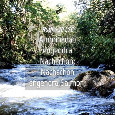 Picture 04 - Ruth 4:20 LSG - Amminadab engendra Nachschon; Nachschon engendra - Bible Verse Picture