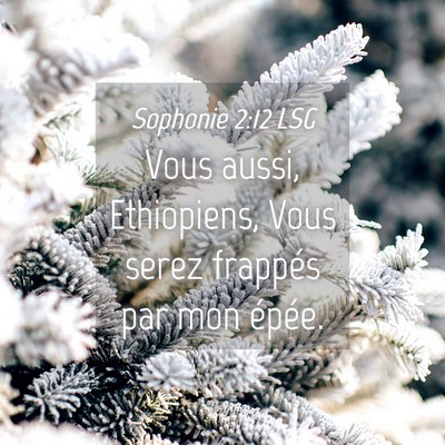Picture 04 - Sophonie 2:12 LSG - Vous aussi, Ethiopiens, Vous serez frappés par - Bible Verse Picture