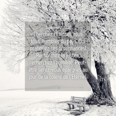 Picture 04 - Sophonie 2:3 LSG - Cherchez l'Eternel, vous tous, humbles du pays, - Bible Verse Picture