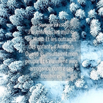 Picture 04 - Sophonie 2:8 LSG - J'ai entendu les injures de Moab Et les outrages - Bible Verse Picture