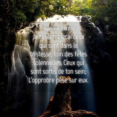 Picture 04 - Sophonie 3:18 LSG - Je rassemblerai ceux qui sont dans la tristesse, - Bible Verse Picture