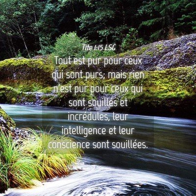 Picture 04 - Tite 1:15 LSG - Tout est pur pour ceux qui sont purs; mais rien - Bible Verse Picture