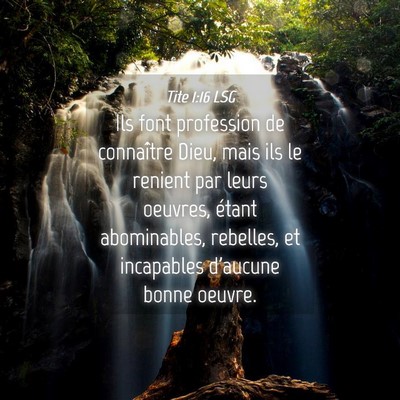 Picture 04 - Tite 1:16 LSG - Ils font profession de connaître Dieu, mais ils - Bible Verse Picture