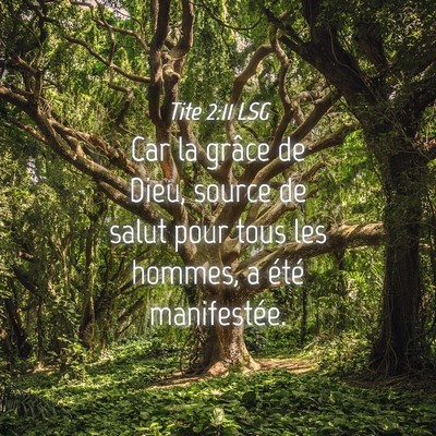 Picture 04 - Tite 2:11 LSG - Car la grâce de Dieu, source de salut pour tous - Bible Verse Picture