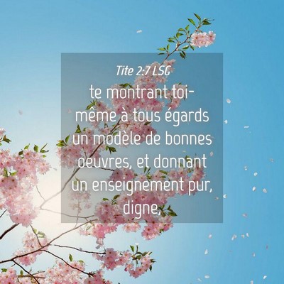 Picture 04 - Tite 2:7 LSG - te montrant toi-même à tous égards un modèle - Bible Verse Picture