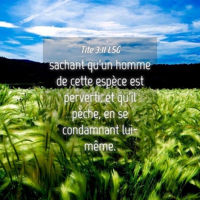 Picture 04 - Tite 3:11 LSG - sachant qu'un homme de cette espèce est - Bible Verse Picture