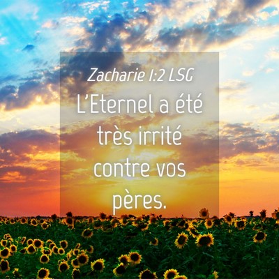 Picture 04 - Zacharie 1:2 LSG - L'Eternel a été très irrité contre vos - Bible Verse Picture