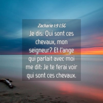 Picture 04 - Zacharie 1:9 LSG - Je dis: Qui sont ces chevaux, mon seigneur? Et - Bible Verse Picture