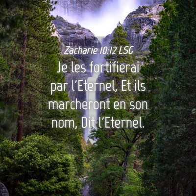 Picture 04 - Zacharie 10:12 LSG - Je les fortifierai par l'Eternel, Et ils - Bible Verse Picture