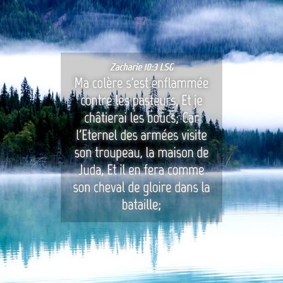 Picture 04 - Zacharie 10:3 LSG - Ma colère s'est enflammée contre les pasteurs, - Bible Verse Picture