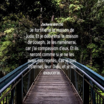 Picture 04 - Zacharie 10:6 LSG - Je fortifierai la maison de Juda, Et je - Bible Verse Picture