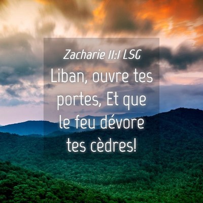 Picture 04 - Zacharie 11:1 LSG - Liban, ouvre tes portes, Et que le feu dévore - Bible Verse Picture