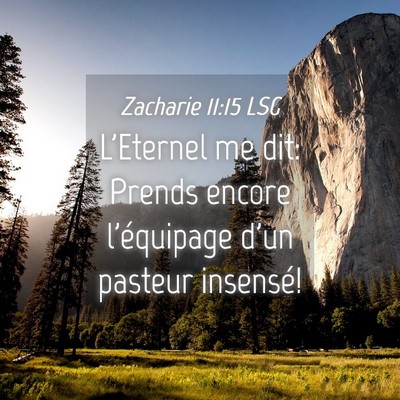 Picture 04 - Zacharie 11:15 LSG - L'Eternel me dit: Prends encore l'équipage d'un - Bible Verse Picture