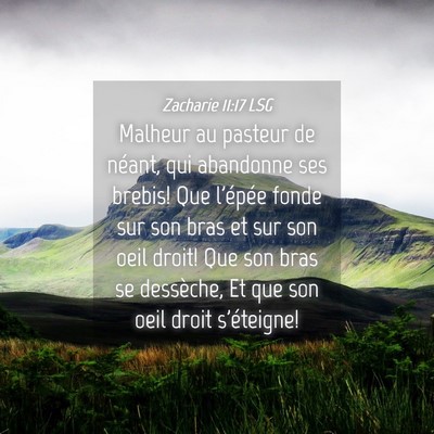 Picture 04 - Zacharie 11:17 LSG - Malheur au pasteur de néant, qui abandonne ses - Bible Verse Picture