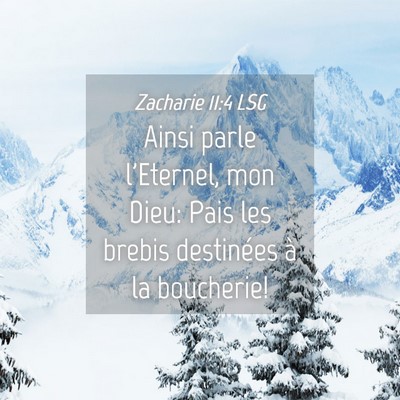 Picture 04 - Zacharie 11:4 LSG - Ainsi parle l'Eternel, mon Dieu: Pais les brebis - Bible Verse Picture