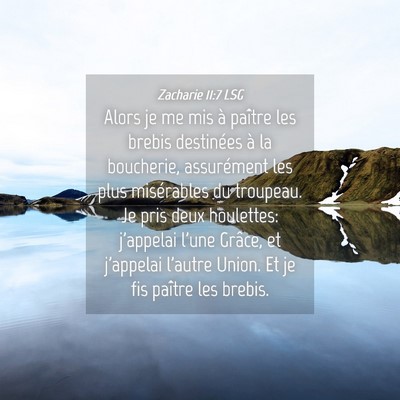 Picture 04 - Zacharie 11:7 LSG - Alors je me mis à paître les brebis destinées - Bible Verse Picture