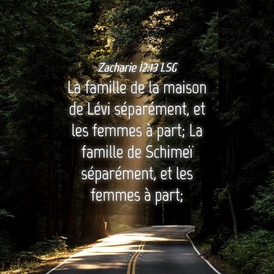 Picture 04 - Zacharie 12:13 LSG - La famille de la maison de Lévi séparément, et - Bible Verse Picture