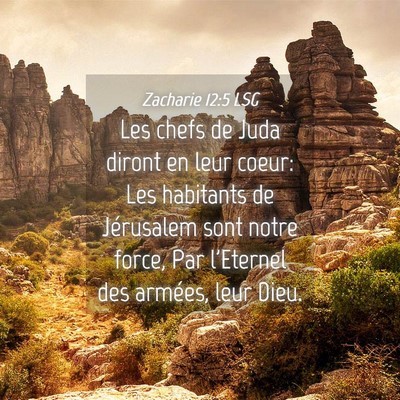 Picture 04 - Zacharie 12:5 LSG - Les chefs de Juda diront en leur coeur: Les - Bible Verse Picture
