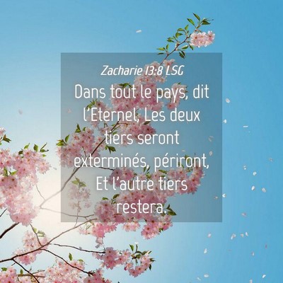 Picture 04 - Zacharie 13:8 LSG - Dans tout le pays, dit l'Eternel, Les deux tiers - Bible Verse Picture