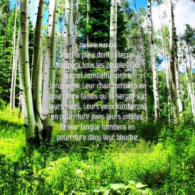 Picture 04 - Zacharie 14:12 LSG - Voici la plaie dont l'Eternel frappera tous les - Bible Verse Picture