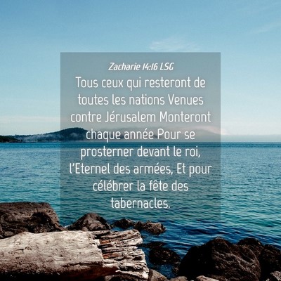 Picture 04 - Zacharie 14:16 LSG - Tous ceux qui resteront de toutes les nations - Bible Verse Picture