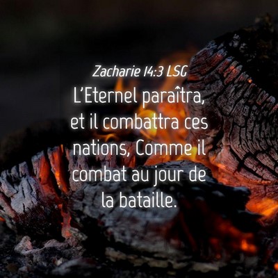 Picture 04 - Zacharie 14:3 LSG - L'Eternel paraîtra, et il combattra ces nations, - Bible Verse Picture