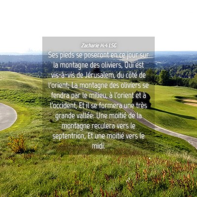 Picture 04 - Zacharie 14:4 LSG - Ses pieds se poseront en ce jour sur la montagne - Bible Verse Picture