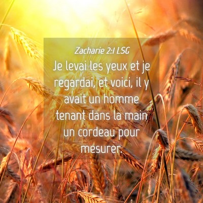 Picture 04 - Zacharie 2:1 LSG - Je levai les yeux et je regardai, et voici, il y - Bible Verse Picture