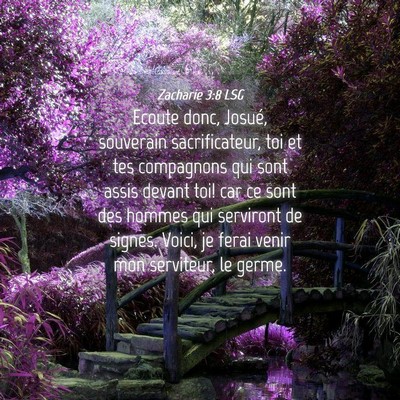 Picture 04 - Zacharie 3:8 LSG - Ecoute donc, Josué, souverain sacrificateur, toi - Bible Verse Picture