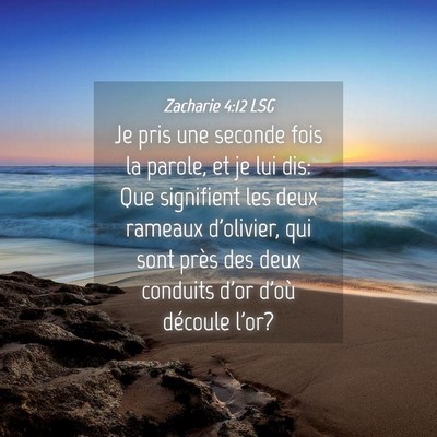 Picture 04 - Zacharie 4:12 LSG - Je pris une seconde fois la parole, et je lui - Bible Verse Picture