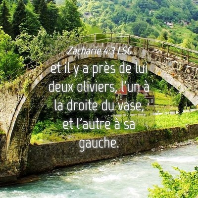 Picture 04 - Zacharie 4:3 LSG - et il y a près de lui deux oliviers, l'un à la - Bible Verse Picture
