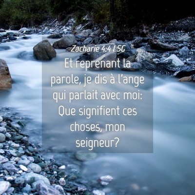 Picture 04 - Zacharie 4:4 LSG - Et reprenant la parole, je dis à l'ange qui - Bible Verse Picture