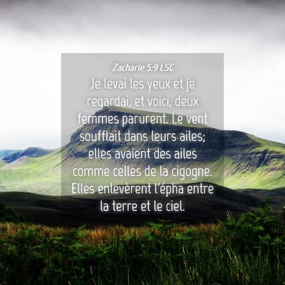 Picture 04 - Zacharie 5:9 LSG - Je levai les yeux et je regardai, et voici, deux - Bible Verse Picture