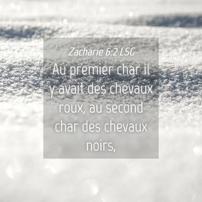 Picture 04 - Zacharie 6:2 LSG - Au premier char il y avait des chevaux roux, au - Bible Verse Picture