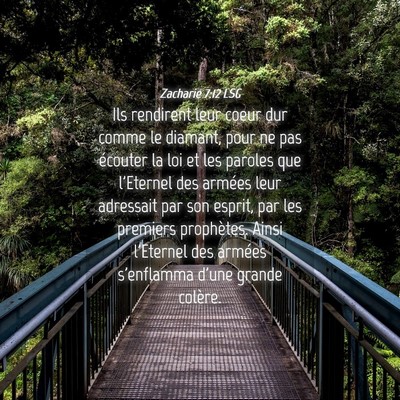 Picture 04 - Zacharie 7:12 LSG - Ils rendirent leur coeur dur comme le diamant, - Bible Verse Picture