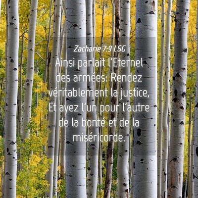 Picture 04 - Zacharie 7:9 LSG - Ainsi parlait l'Eternel des armées: Rendez - Bible Verse Picture