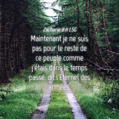 Picture 04 - Zacharie 8:11 LSG - Maintenant je ne suis pas pour le reste de ce - Bible Verse Picture