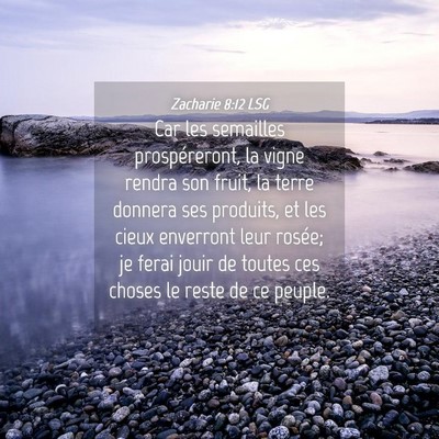 Picture 04 - Zacharie 8:12 LSG - Car les semailles prospéreront, la vigne rendra - Bible Verse Picture