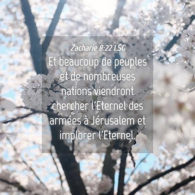 Picture 04 - Zacharie 8:22 LSG - Et beaucoup de peuples et de nombreuses nations - Bible Verse Picture