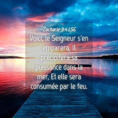 Picture 04 - Zacharie 9:4 LSG - Voici, le Seigneur s'en emparera, Il précipitera - Bible Verse Picture