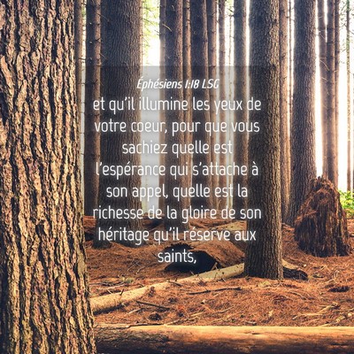 Picture 04 - Éphésiens 1:18 LSG - et qu'il illumine les yeux de votre coeur, pour - Bible Verse Picture