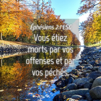 Picture 04 - Éphésiens 2:1 LSG - Vous étiez morts par vos offenses et par vos - Bible Verse Picture