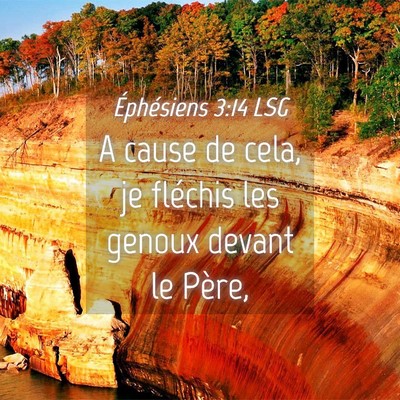 Picture 04 - Éphésiens 3:14 LSG - A cause de cela, je fléchis les genoux devant le - Bible Verse Picture