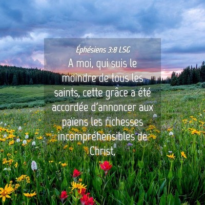 Picture 04 - Éphésiens 3:8 LSG - A moi, qui suis le moindre de tous les saints, - Bible Verse Picture