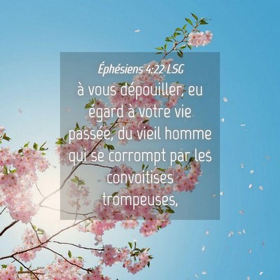Picture 04 - Éphésiens 4:22 LSG - à vous dépouiller, eu égard à votre vie - Bible Verse Picture