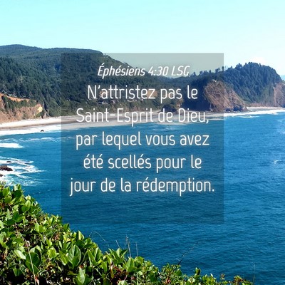 Picture 04 - Éphésiens 4:30 LSG - N'attristez pas le Saint-Esprit de Dieu, par - Bible Verse Picture